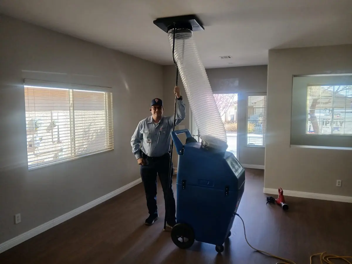 Professional Dryer Vent Cleaning work inside a Westwood home